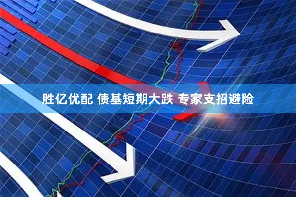 胜亿优配 债基短期大跌 专家支招避险