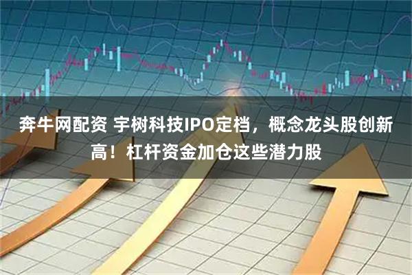 奔牛网配资 宇树科技IPO定档，概念龙头股创新高！杠杆资金加仓这些潜力股