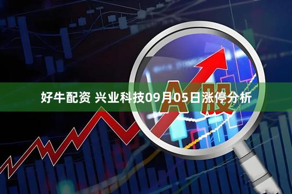 好牛配资 兴业科技09月05日涨停分析