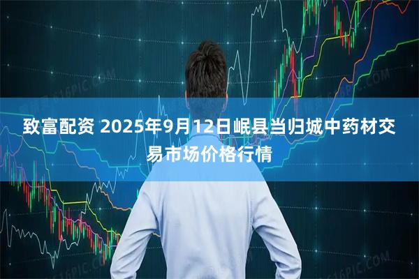 致富配资 2025年9月12日岷县当归城中药材交易市场价格行情