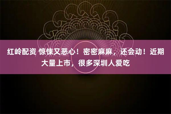 红岭配资 惊悚又恶心！密密麻麻，还会动！近期大量上市，很多深圳人爱吃